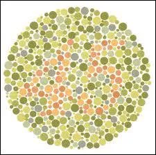 Quel nombre voyez-vous ?