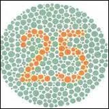 Quel nombre voyez-vous ?