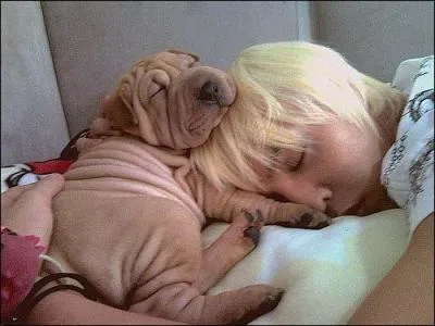 Comment s'appelle son chien ?