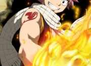 Quiz Fairy Tail - Tomes 1  18