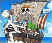 Quel est le nom du bateau de Luffy ?