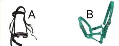 Qu'est-ce qu'un licol ? ?