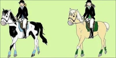 Quelle est la distance  laisser entre deux chevaux en mains ou monts ?