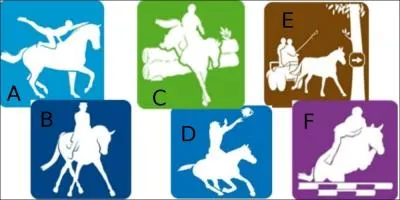 Quelles sont les activites pratiques sur ces dessins ?