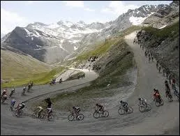 Quelle est l'une des particularits de ce tour 2011 ?