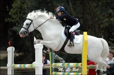 Comment s'appelle ce poney, champion de CSO qui est maintenant  la retraite ?