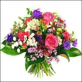 Dans la soirs on va pouvoir assister au lancer ...