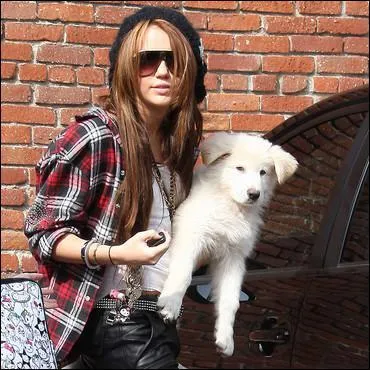 Comment s'appelle le chien de Miley Cyrus ?