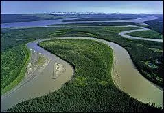 Dans quelle mer le fleuve MacKenzie qui est le plus long fleuve du Canada se jette-t-il ?