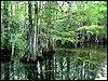 Dans quel tat des Etats-Unis se situe le parc national des Everglades qui contient le plus vaste milieu naturel subtropical du pays ?