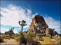 Dans quel tat des Etats-Unis se situe le dsert Mojave ?