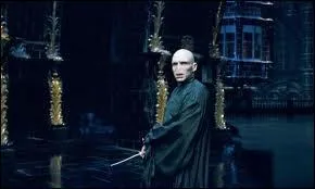 Quelle est la plus grande faiblesse de Lord Voldemort ?