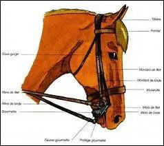 Pour dbrider, que doit-on enlever ?