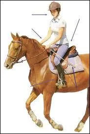 Parmi ces aides, quelle est la naturelle ?