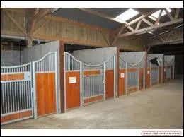 Comment s'appelle la pice o le cheval se repose ?