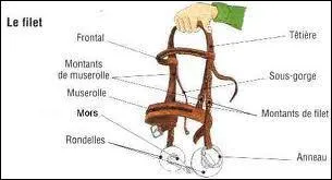 Si le cheval refuse le mors, comment agit-on ?