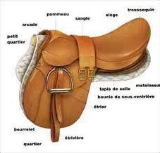Quiz Galop 1