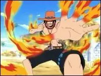 Quel fruit du dmon possde t-il ?