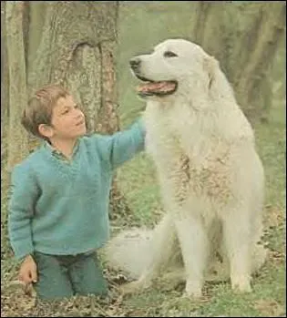 Le prnom du petit garon accompagnant la chienne Belle, vous donnera un sketch de Gad Elmaleh.