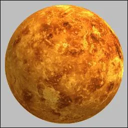 Quelle est cette plante ?