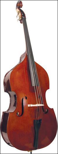 La contrebasse est un instrument ...