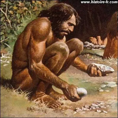 Les hommes prhistoriques se rasaient parfois avec des coquillages.