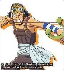 Quel est le rle de Pipo dans l'quipage ?