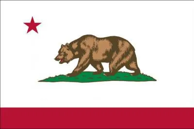 De quel tat s'agit-il ?