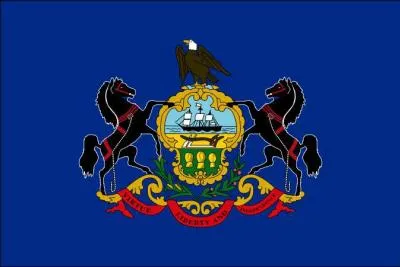 De quel tat s'agit-il ?