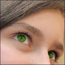 Ils sont percutants ... .