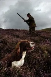 Pas celui de chez Maxim's ... .