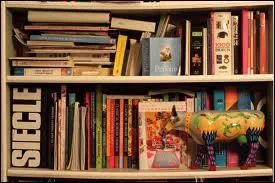 Qu'est-ce que le RAW ?