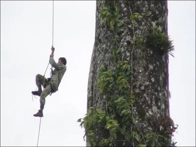 Comment effectuer une remont sur corde (de la manire la plus facile) ?