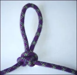 Quel noeud rencontre-t-on souvent en via cordatta ?