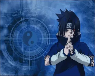Parmi ces citations, lesquelles sont de Sasuke ?