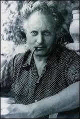 Qui a crit ' Le hussard sur le toit ' ?