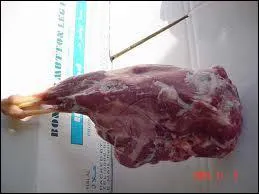 Comment dit-on le mouton ?