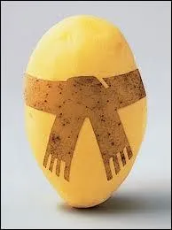 Comment dit-on les pommes de terre ?