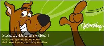 Quel est ce dessin anim ?