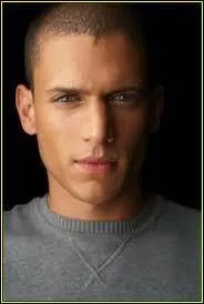 A quelle srie appartient ce personnage ?