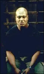 A quelle srie appartient ce personnage ?