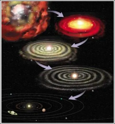 Comment se sont formes les plantes ?