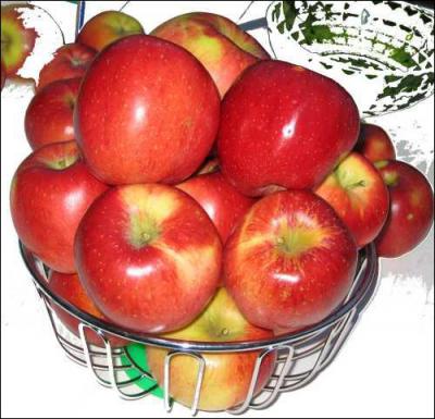 Il existe plus de 20 000 varits de pommes dans le monde. On distingue trois types de pommes alimentaires : la pomme  cidre, la pomme  cuire et la pomme de table appele aussi :