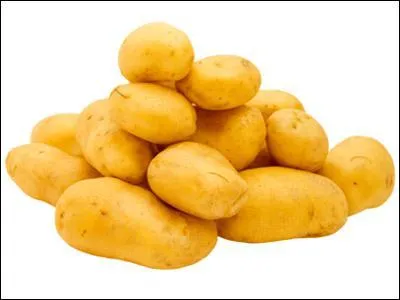 La pomme de terre, familirement appele 'patate' est originaire d'Amrique du Sud et fut introduite en Europe vers la fin du XVIe sicle. Celui qui contribua  sa popularisation en France est :