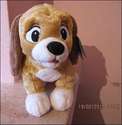 Prcisment, Rouky est...