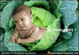 Quand vous perdez la partie de cartes :