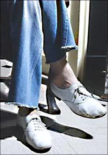 Rose Repetto est la cratrice d'une marque de chaussures dont un des modles 'les zizis' fut rendu clbre par un chanteur dans les annes 70. Lequel ?