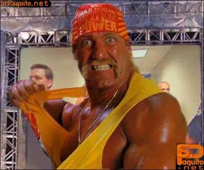 Quel est le nom de ce catcheur ?