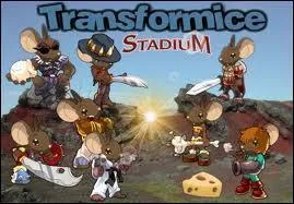 Que doivent faire les souris dans la map ratapulte ?