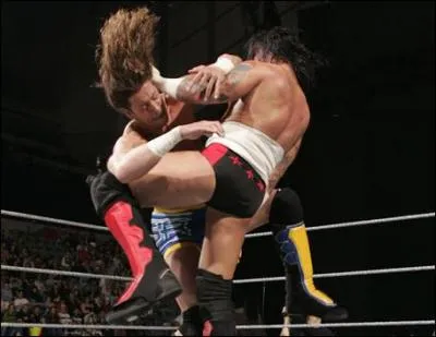 Quelle est la prise de finition de CM Punk ?